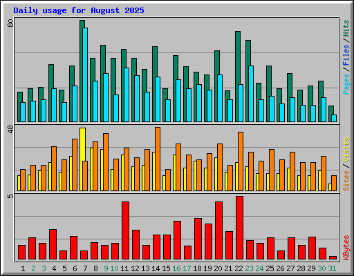 Daily usage for August 2025