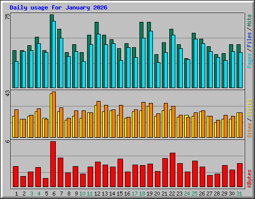 Daily usage for January 2026