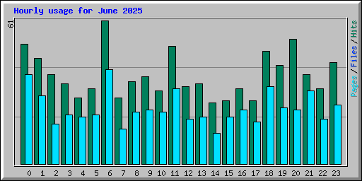 Hourly usage for June 2025