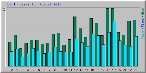 Hourly usage for August 2025