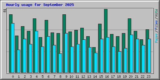 Hourly usage for September 2025
