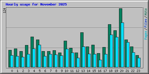 Hourly usage for November 2025