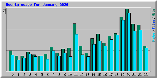 Hourly usage for January 2026
